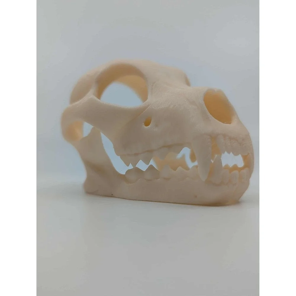 Dog Skull Hide, Reptile enrichment,‎ Tank Decor